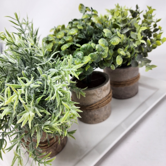 New Faux Succulents Mini Potted Plants Set/3 Faux Frosted Plants in Planters - Picture 2 of 9